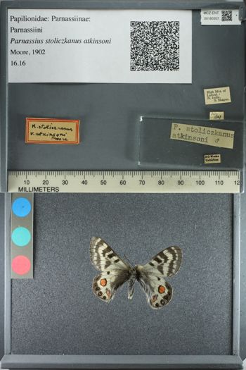 Media type: image;   Entomology 180357